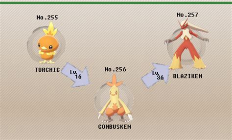 blaziken evolution chart|Iba pa.